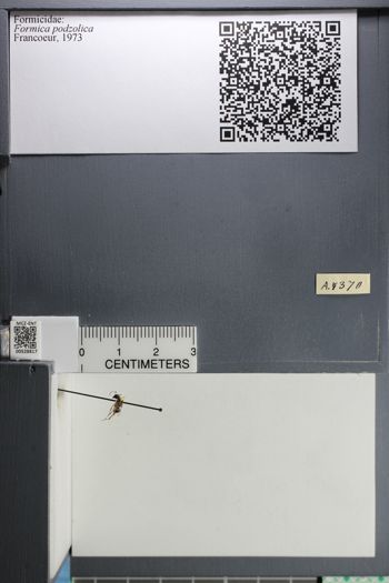 Media type: image; Entomology 528817